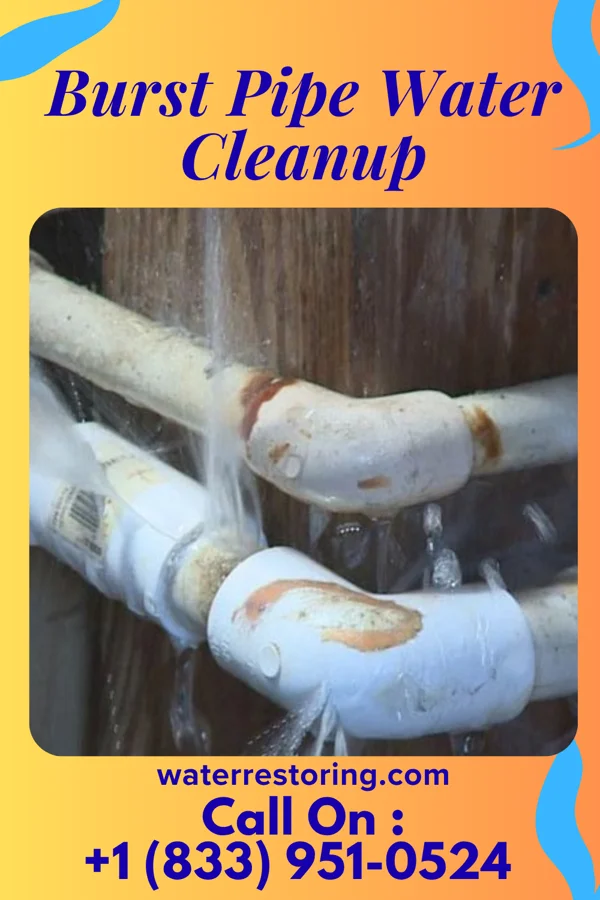 Burst Pipe Water Cleanup in Marquette, KS
