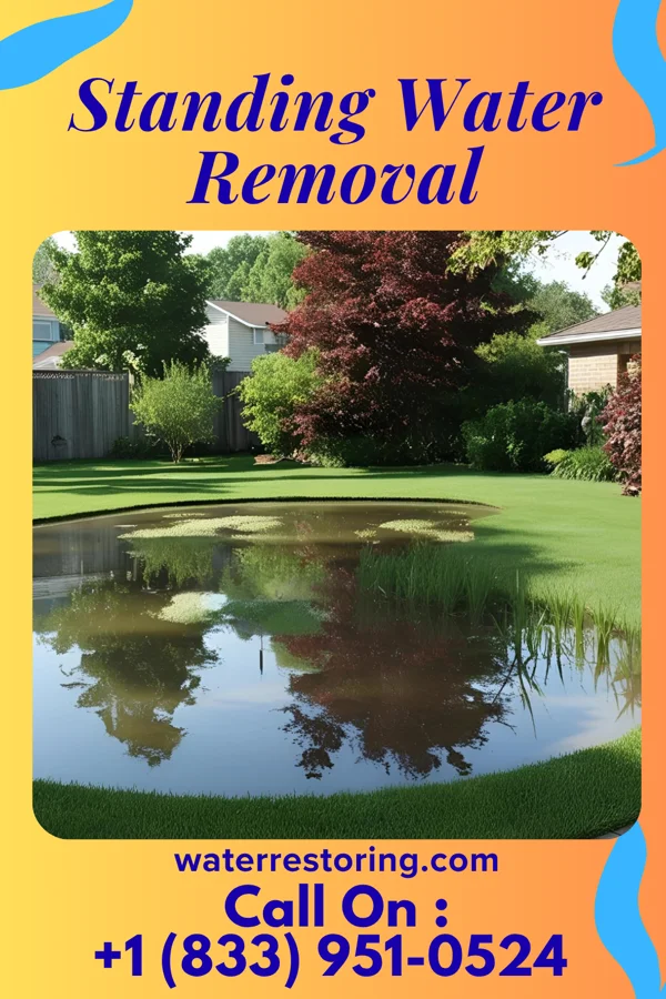 Standing Water Removal in Marquette, KS
